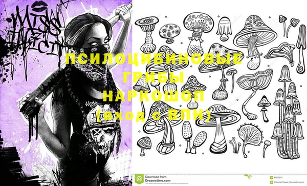 ешки Губаха