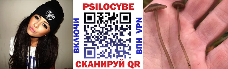 Галлюциногенные грибы Psilocybe купить цена Козловка